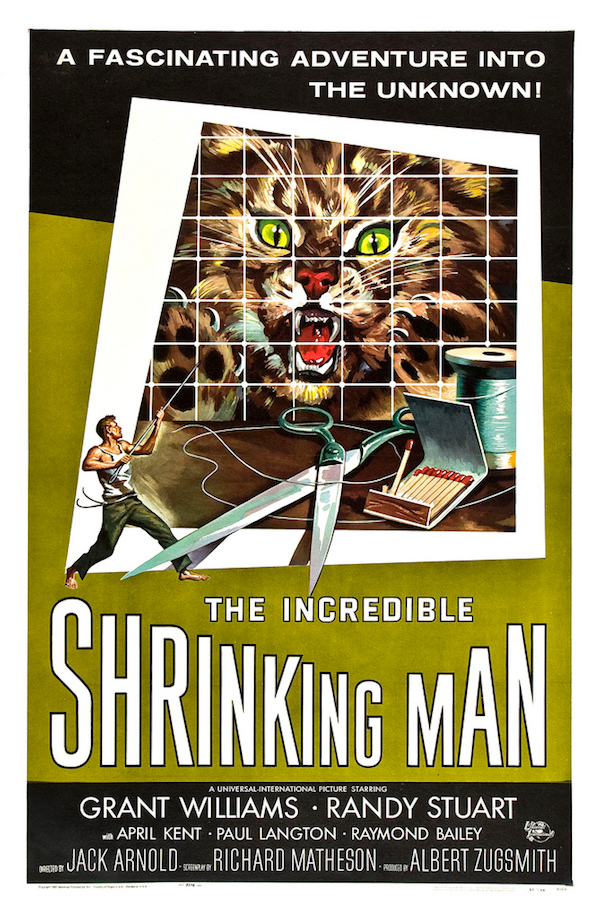 018incredibleshrinkinman57.jpg