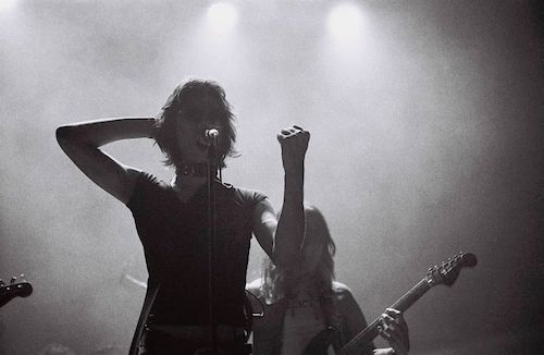 019alain_bibal_lemontwigs.jpg