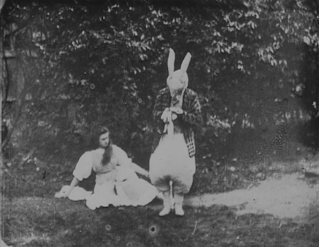 1alic1903wonder.jpg