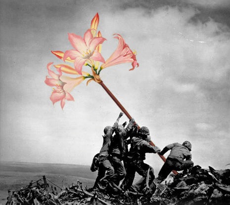 01flowerpowergun.jpg