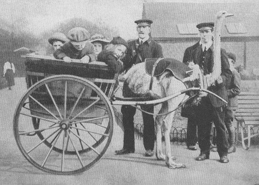 01ostcart1.jpg