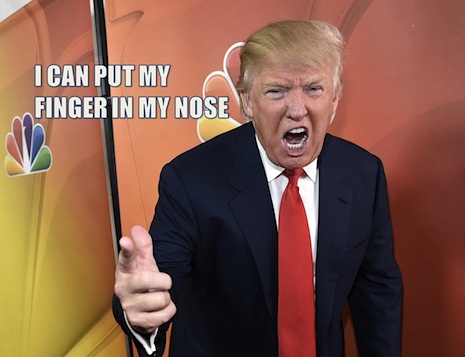 021AAtrumpwig.jpg