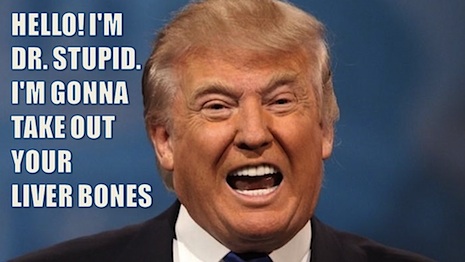 022BBtrumpwig.jpg