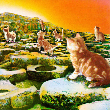 022cLedKittenHousesoftheMeowy.jpg