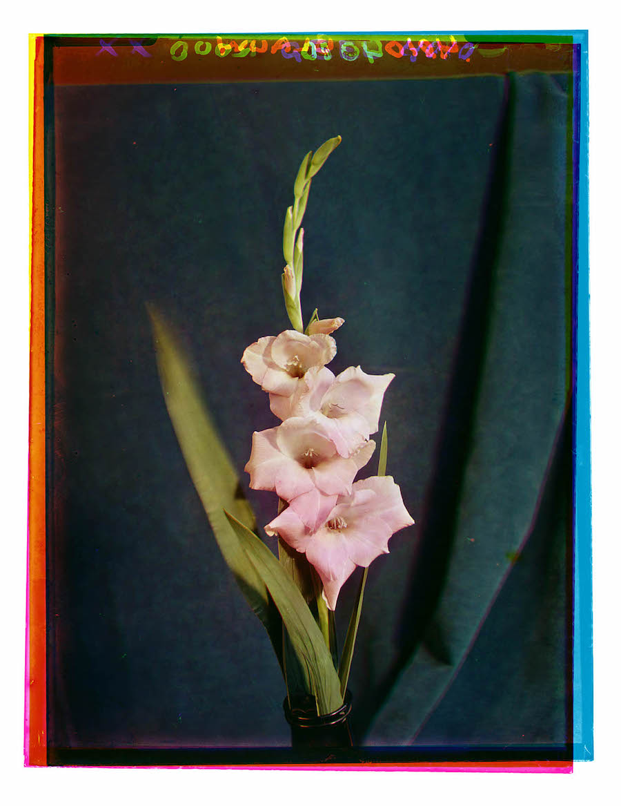 022threecolor.jpg