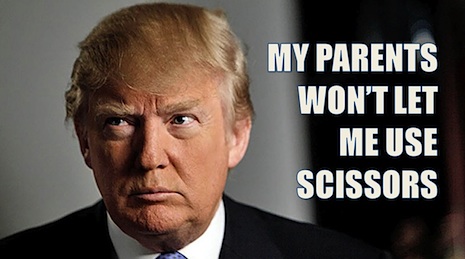 023CCtrumpwig.jpg