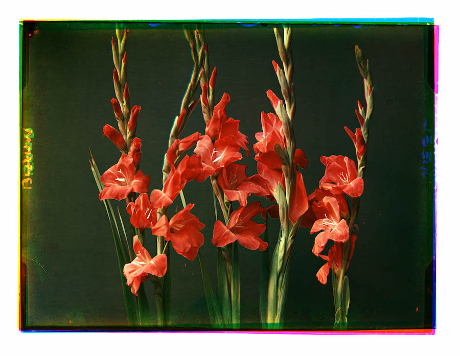023threecolor.jpg