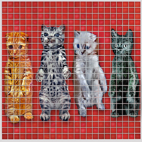 024cMeowingHeadsMoarSongsAboutBuildingsandCatfood.jpg
