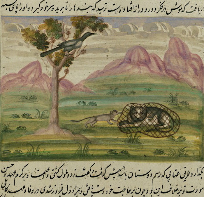 025canopus.jpg