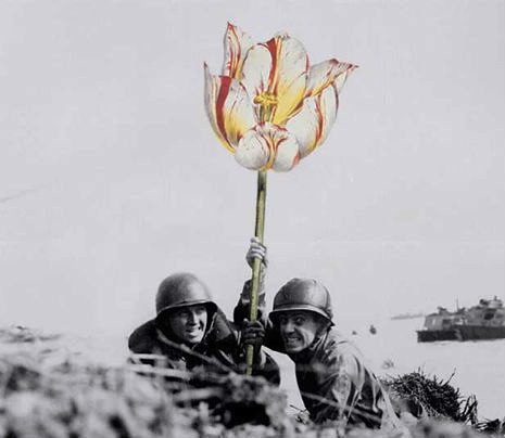 02flowepowergun.jpg