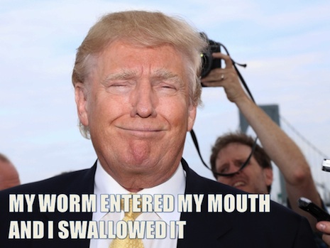 02wigtrump.jpg