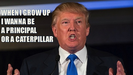034EEtrumpwig.jpg