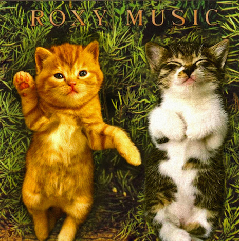 035croxycat.jpg