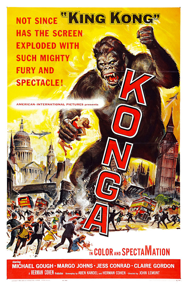 037konga61.jpg