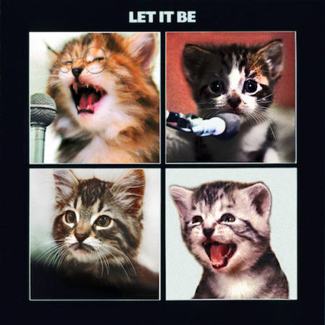 039cletcat.jpg