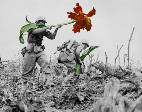 03flowerpowergun.jpg