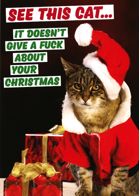 03sanatcat.jpg
