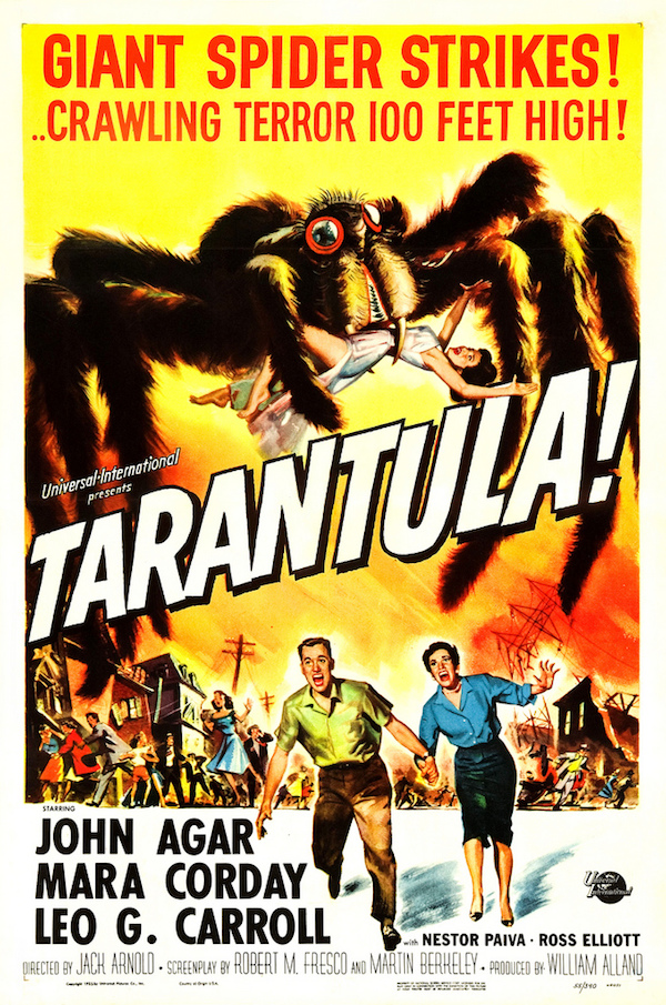 03tarantula55.jpg