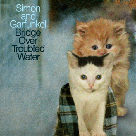 048csimeoncatfunkel.jpg