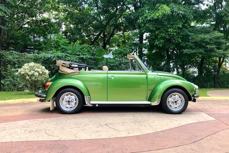 04DaltreyVW.jpg