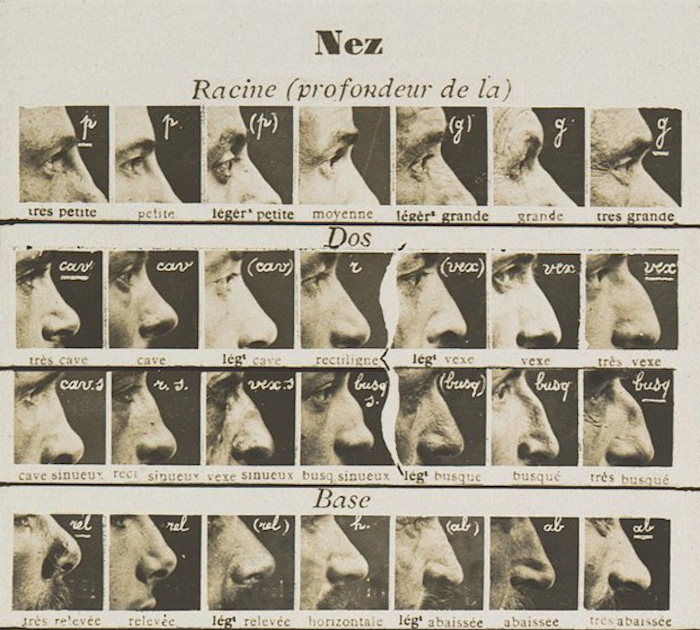 04bertnose.jpg