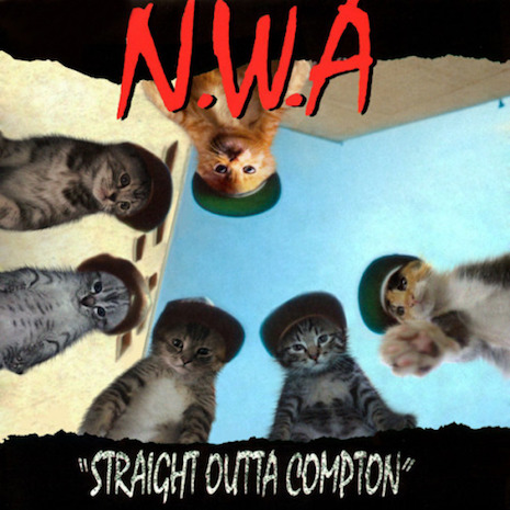 04ckwastaughtoutta.jpg