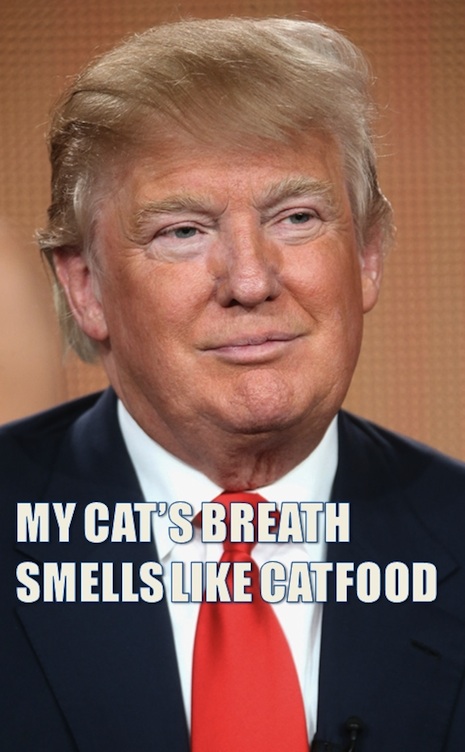 04trumpwig.jpg