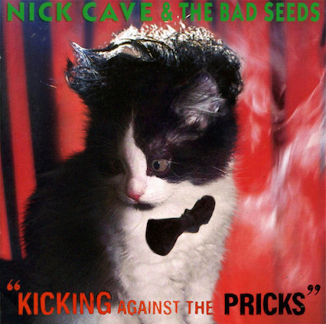 051ckitcat.jpg
