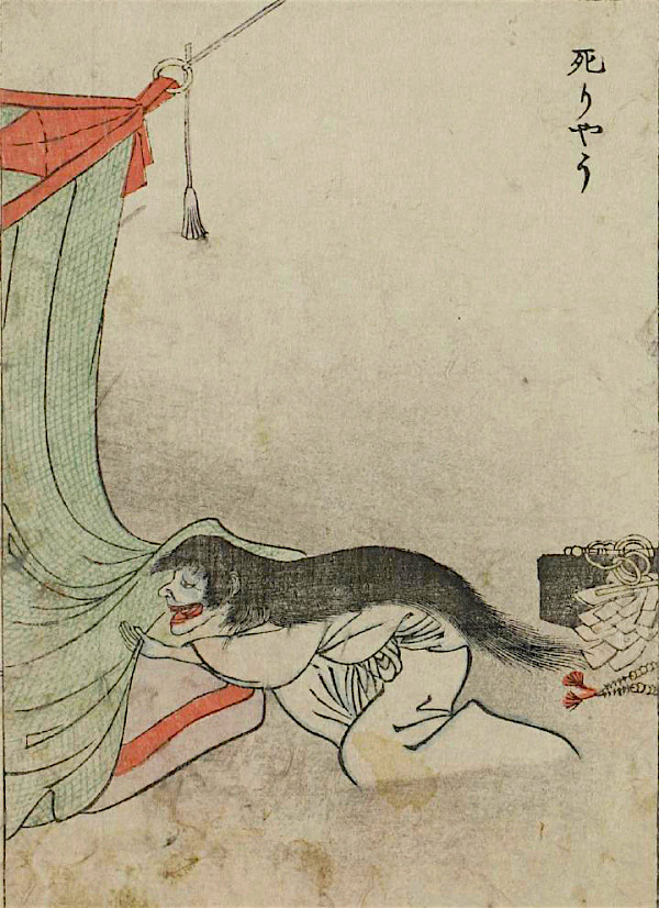 06shirayu.jpg