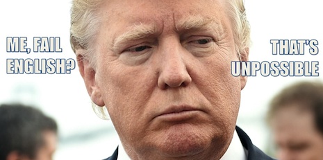 06trumpwig.jpg