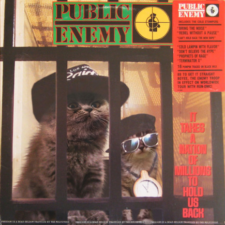 07cpublickitttenynationofkittens.jpg