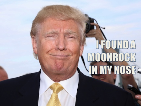 07trumpwig.jpg