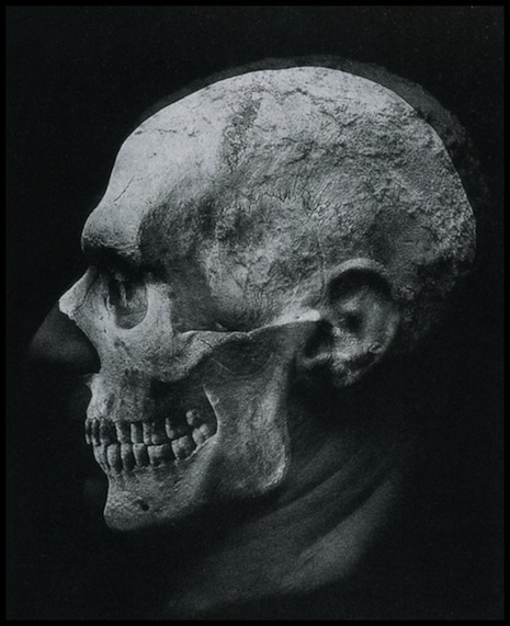 09skulldouble.jpg
