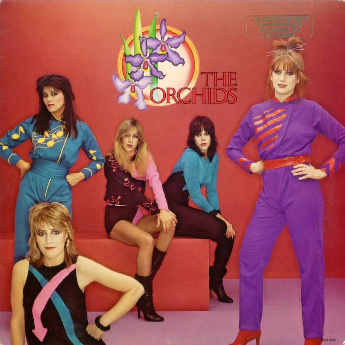 09theorchids.jpg