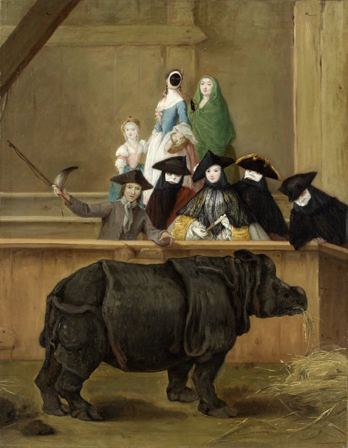 09visardPietroLonghi1751rhino.jpg