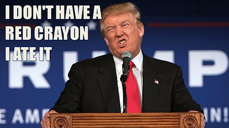 0A33trumpwig.jpg