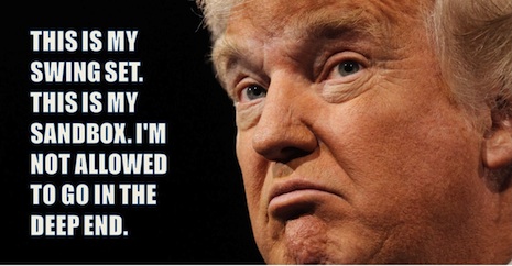0AAtrumpwig.jpg