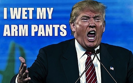 0BBtrumpwig.jpg