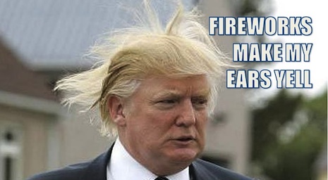 0DDtrumpwig.jpg