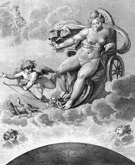 0_01VenusGenetrix.jpg
