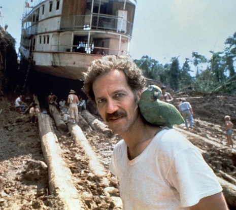0wernerparrot.jpg