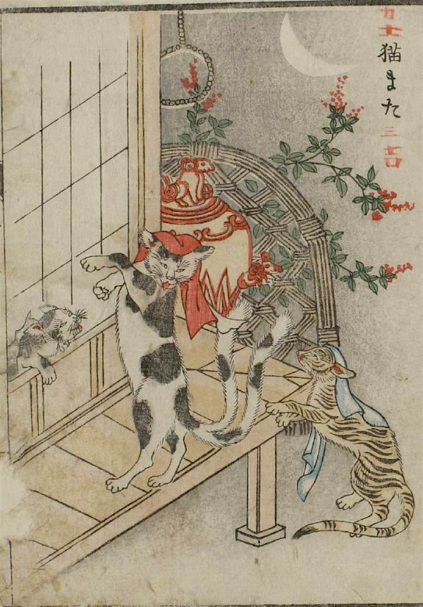 13Nekomata.jpg