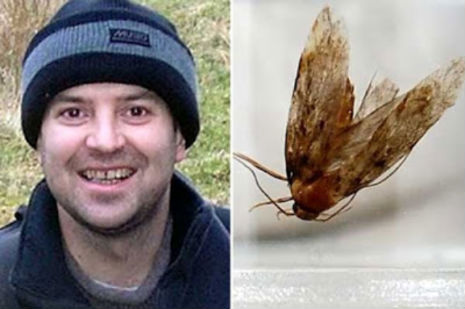 1mothmanear.jpg