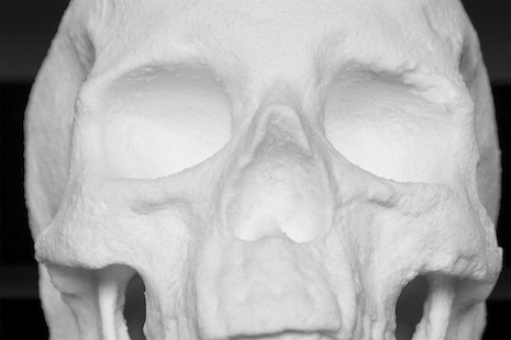 Skull made out of cocaine