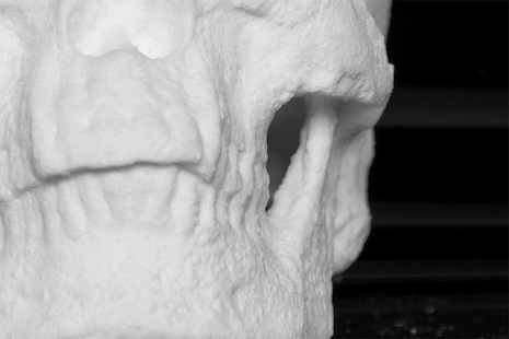 Skull made out of cocaine
