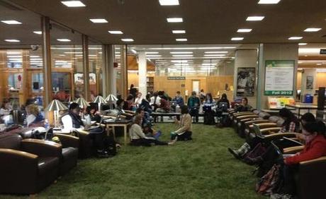 Library Grass
