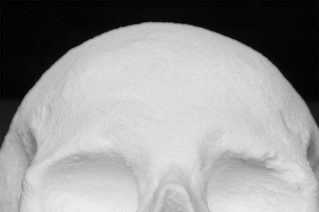 Skull made out of cocaine