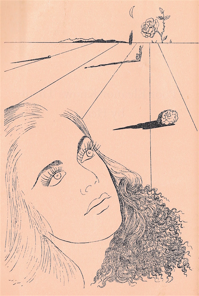8dalirose.jpg