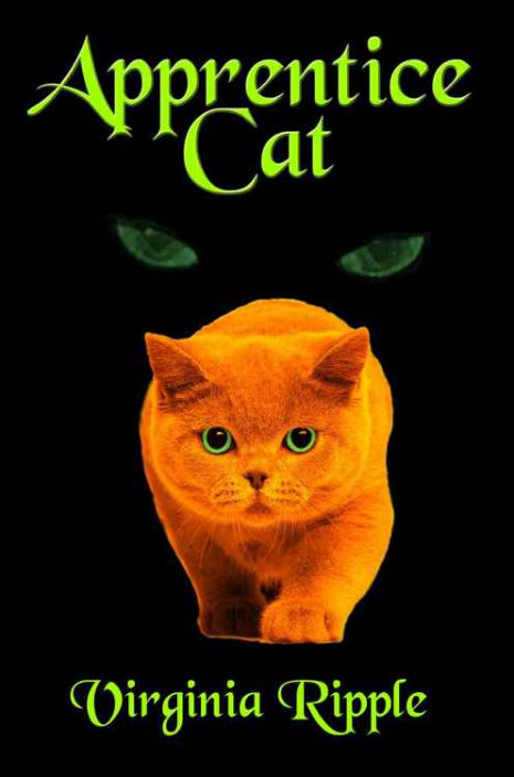 apprentice_cat