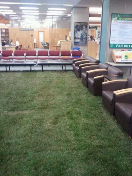 grass